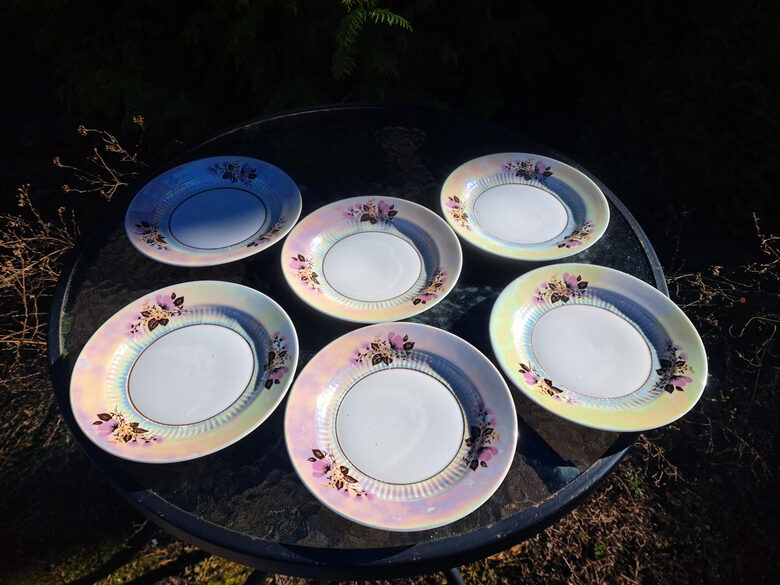 Kūku šķīvji, plānsienu tējas servīze "Diāna" lustrēta ar burvīgu lillā puķi un brūnu apvilkumu, RPR (Diāna 107)