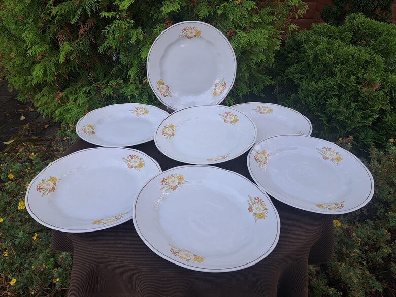 Otrā ēdiena šķīvji, d=24cm ar dzeltenām puķēm, brūnu apvilkumu gar malu, pusdienu servīze "Ārija", RPR (Ārija pusdienu 462)