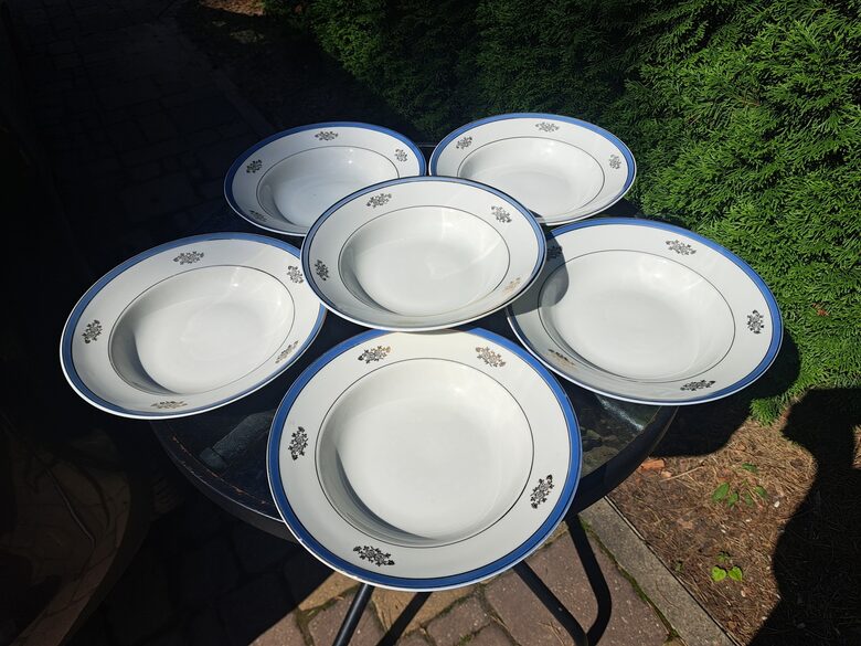 Zupas šķīvju ar gaiši zilu malu, zelta apvilkumu un zelta puķēm, d=24cm, komplekts 6 pers., PFF (Citi pusd 204)