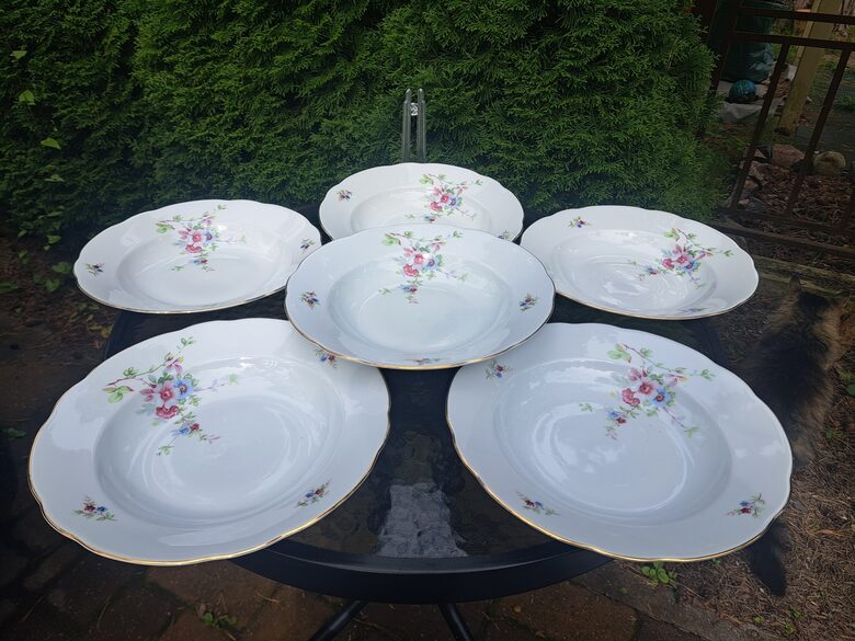 Skaisto zupas šķīvju d=24cm komplekts ar maigiem ābeļziediem un zeltu 6 personām. Ražotājs ir  Koldiz (Vācija 266)