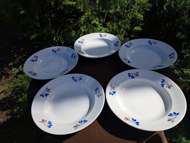 Zupas šķīvji, fajansa pusdienu servīze ar zilām puķēm un brūnām lapām, PFF. Diam.24,5cm (Fajansa pusdienu 49)