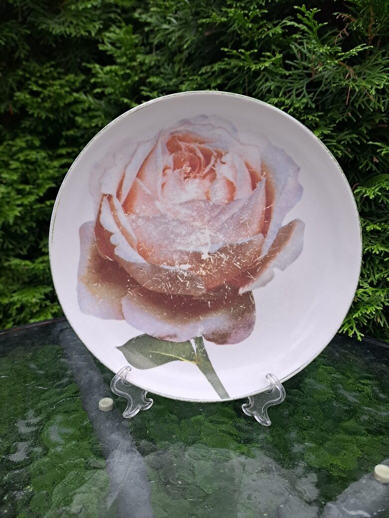 Šķīvis dekoratīvs ar lielu rozi (dekols) un tumši zaļu apvilkumu, d=20cm (Citi rpt 335)