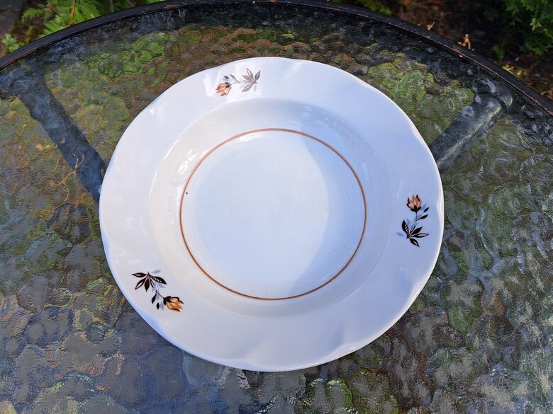 Zupas šķīvis ar brūnām tulpēm un tumši brūnu apvilkumu centra, forma "Viktorija", RPR. D=20cm (Viktorija pusd 97)