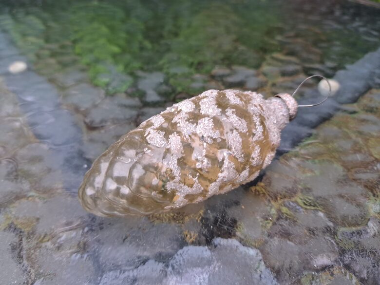 Čiekurs dzeltens caurspīdīgs, pārklāts ar "sniega" graudiņiem (Egle čiekuri 29)