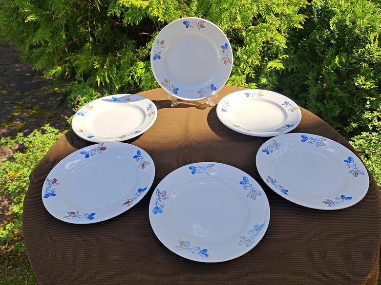 Maizes šķīvji, fajansa pusdienu servīze ar zilām puķēm un brūnām lapām, PFF. Diam.18cm (Fajansa pusdienu 48)