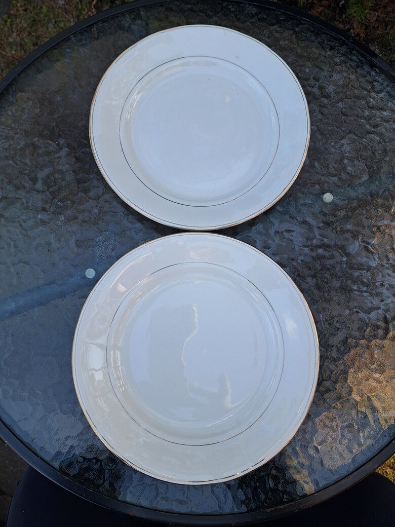 Elganti fajansa otrā ēdiena šķīvji, Kuzņecovs. 1920.-tie gadi, caurspīdīgs ceks (Kuzņecovs 159)