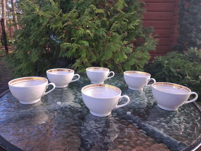 Krūzītes "Regīna", baltas ar 2 svītrām: šauru un platu, PFF (Regina 39)