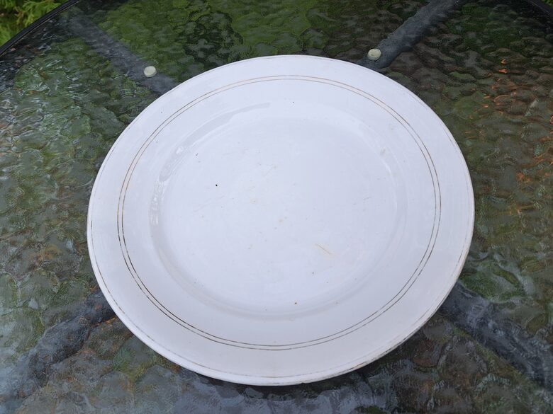 Otrā ēdiena fajansa Kuzņecova šķīvis ar zelta apvilkumu. D=24cm, atsitumi apakšā (Kuzņecovs 176)