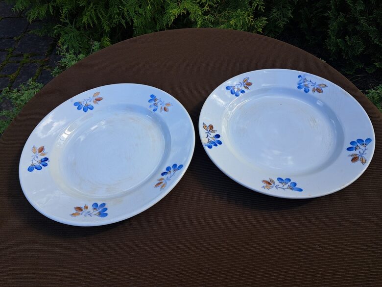 Otrā ēdiena šķīvis, fajansa pusdienu servīze ar zilām puķēm un brūnām lapām, PFF. Diam.24,5cm, ceks, viegli pleķi (Fajansa pusdienu 51)