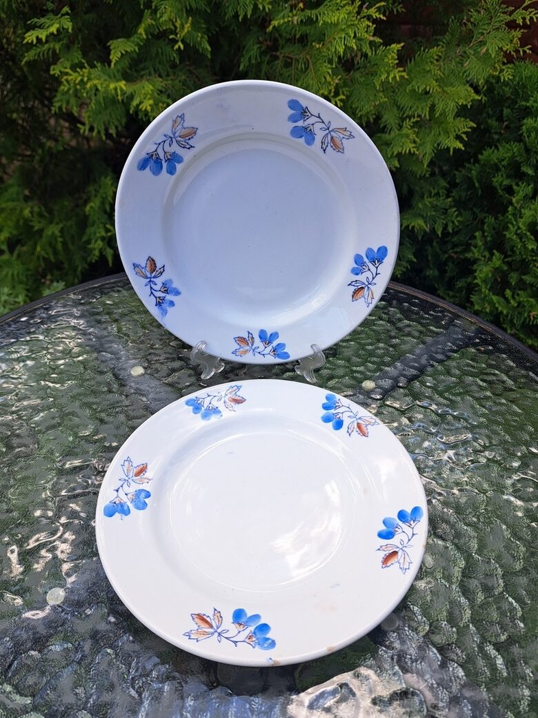Salātu šķīvji, fajansa pusdienu servīze ar zilām puķēm un brūnām lapām, PFF. Diam.20cm, ceks (Fajansa pusdienu 52)