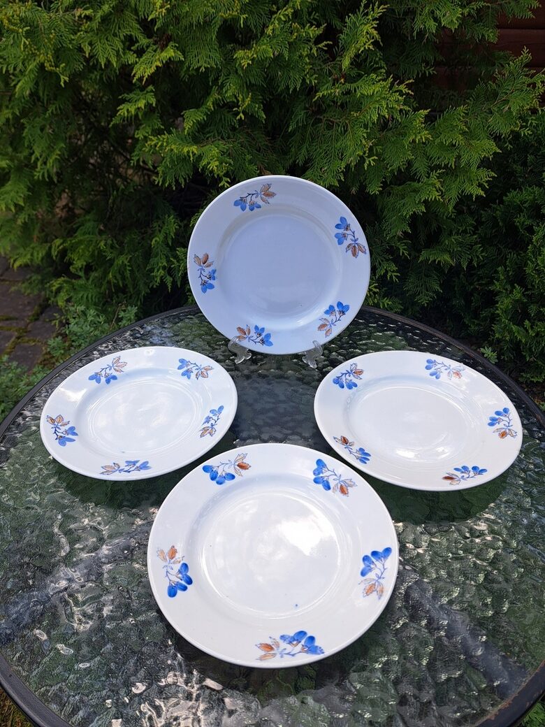 Salātu šķīvji, fajansa pusdienu servīze ar zilām puķēm un brūnām lapām, PFF. Diam.20cm (Fajansa pusdienu 53)