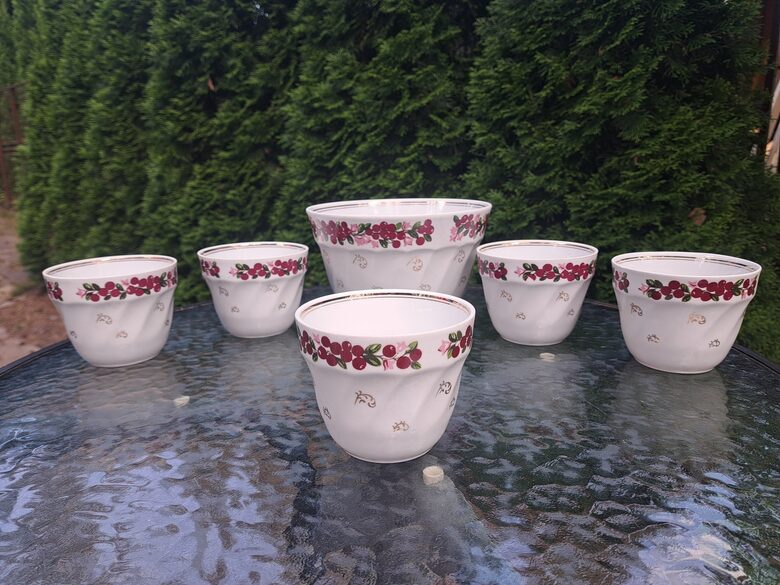 Jauka kompota servīze 5+1 ar rozā bruklenēm un zeltu, RPR (Kompota 28)