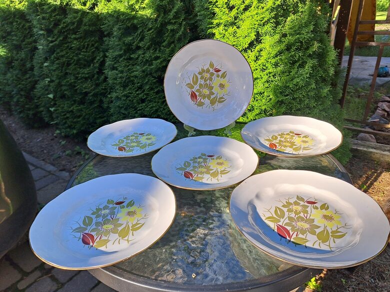 Otrā ēdiena škīvji, d=24cm ar haki-bordo puķes un zelta apvilkums, pusdienu servīze "Ārija", RPR (Ārija pusdienu 445)