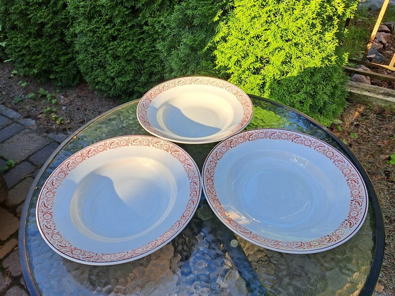 Zupas šķīvji d=24cm, pusdienu servīze "Gludā" ar elegantu bordo puķu vainadzīņu un bordo apvilkumu, PFF (Gludā 175)