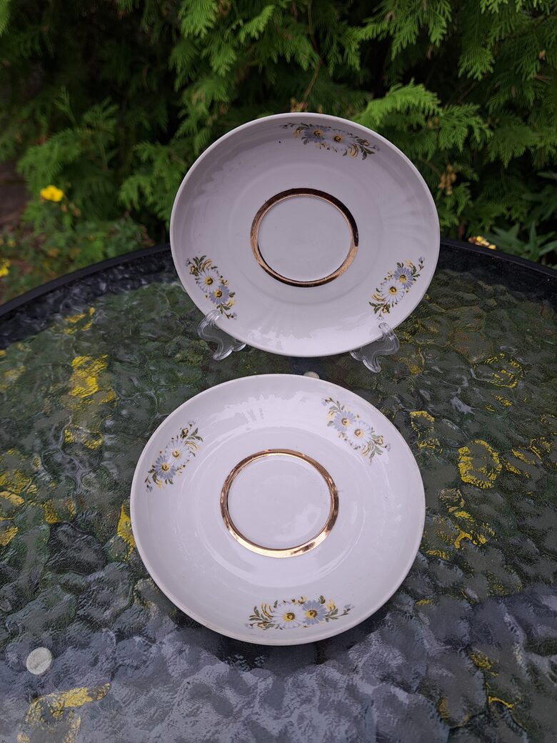 Apakštases, tējas servīze "Māra" ar margrietiņām, RPR (Māra tējas 237)