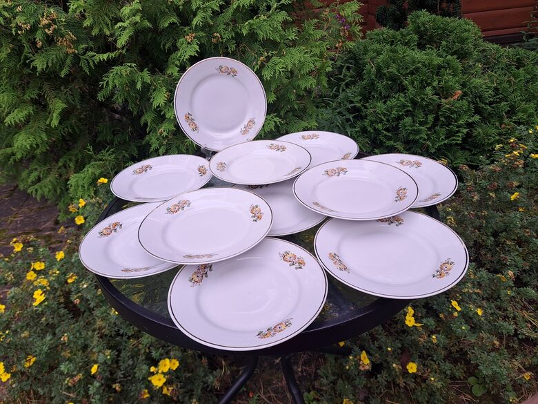 Salātu šķīvji ar kliņģerītēm un kliņģerītēm  un šauru zelta apvilkumu d=20cm, taisna mala, RPR (Citi pusd 312)