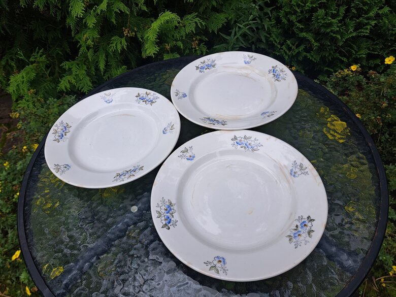 Otrā ēdiena šķīvji, fajansa pusdienu servīze ar zilām puķēm un zaļām lapām, PFF. Diam.24,5cm (Fajansa pusdienu 58)