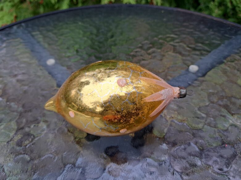 Citrons lielais ar baltiem punktiņiem, h=13cm (Egle augļi 46)