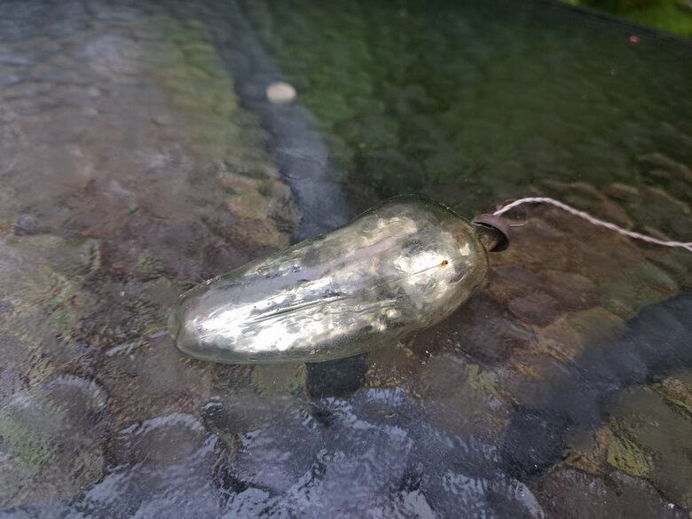 Sudraba gurķis, caurspīdīgs uz pusi. Izmēri 8,5cmx3cm (Egle dārzeņi 21)