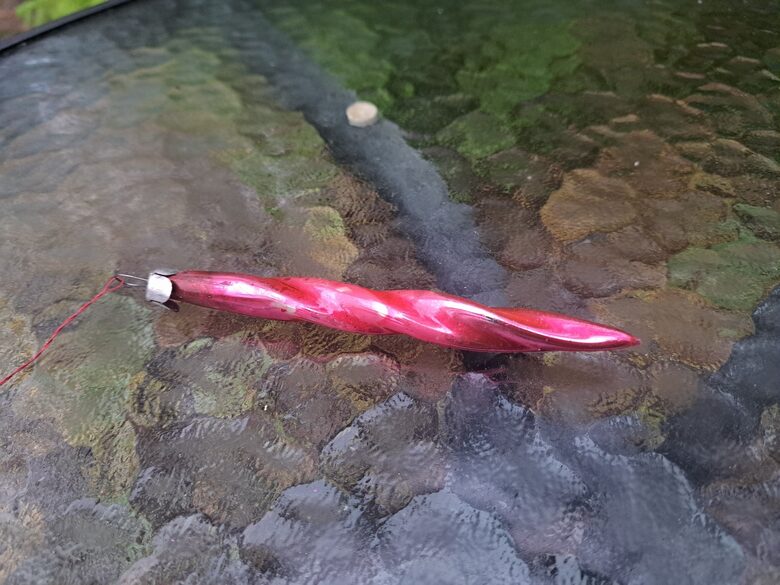 Rozā lāsteka. Augstums - 12cm (Egle lāsteka 30)