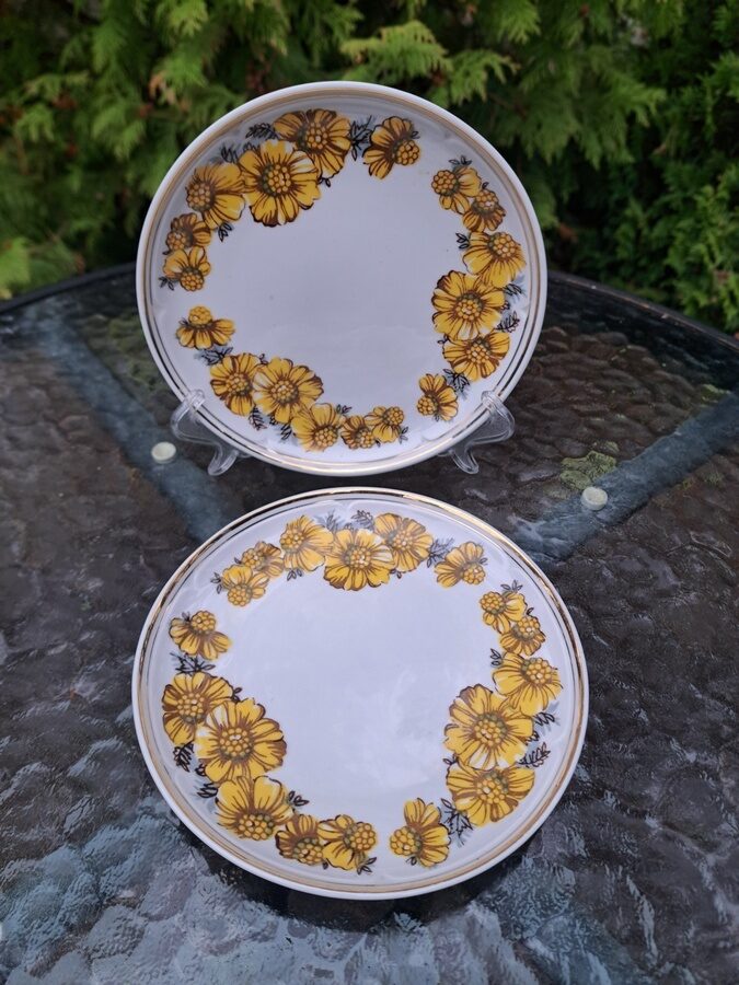 Kūku šķīvji no kafijas "Aija-1" ar kliņģerītēm un brūnu vāciņu, RPR (Aija-1 kafijas 74)