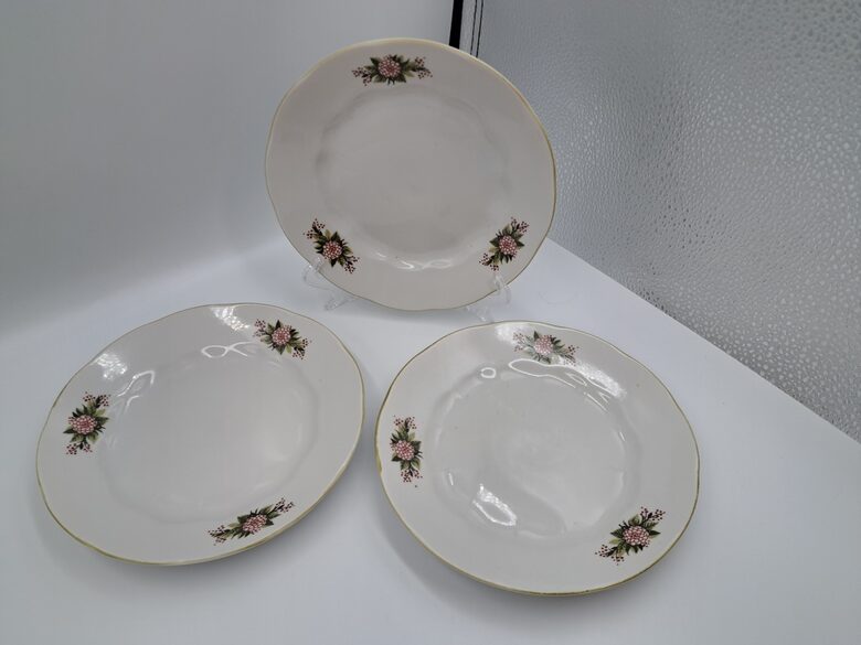 Maizes šķīvji ar mini bordo georgīniem un gaiši zaļu apvilkumu, pusdienu servīze "Ārija", RPR. D=17cm (Ārija pusdienu 463)