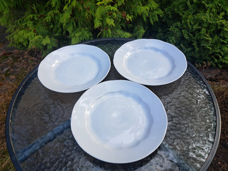 Otrā ēdiena šķīvji, d=24cm pilnīgi balti, pusdienu servīze "Ārija", RPR (Ārija pusdienu 466)