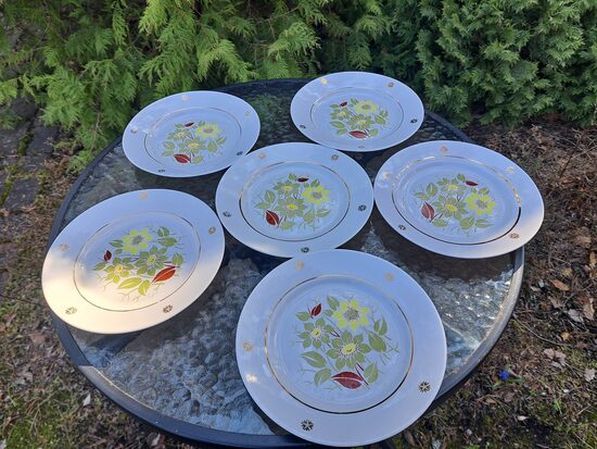 Salātu šķīvju d=20cm komlekts 6 personām ar haki-dzeltenām-bordo puķēm un zeltu,  RPR (Citi pusd 286)