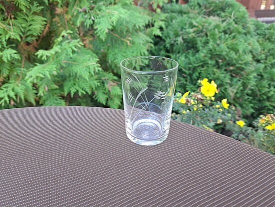 Eleganta taisnā glāzīte, 100ml, ar iegrāvētām puķēm, plāns pūsts stikls (Stikla gl 03)