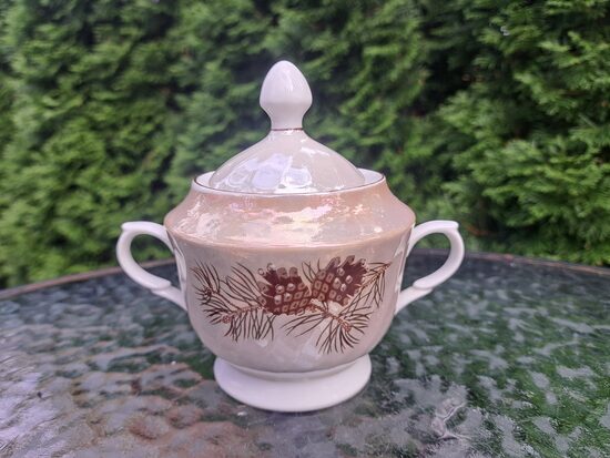 Cukurtrauks, plānsienu kafijas servīze "RĪGA" lustrēta ar čiekuriem un brūnu apvilkumu, RPR (Rīga 80 117)