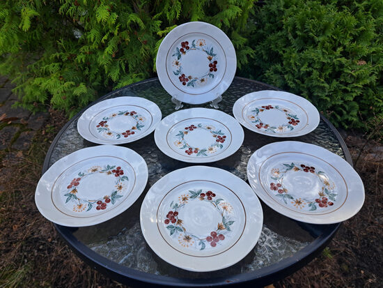 Kūku šķīvji, skaista tējas servīze "Viktorija" ar ogām (dekols cemtrā) un brūnu apvilkumu, RPR (Viktorija t 230)