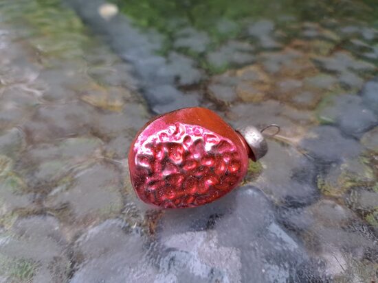 Auglis rozā, caurspidīgs uz pusi. Izmēri 5cmx3cm (Egle augļi 44)