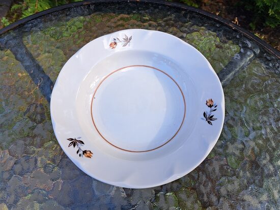 Zupas šķīvis ar brūnām tulpēm un tumši brūnu apvilkumu centra, forma "Viktorija", RPR. D=20cm (Viktorija pusd 97)