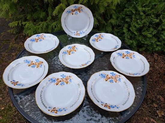 Maizes šķīvji diam.17cm ar brunām ogām un zilām lapām, forma "Vilnis",  RPR (Vilnis pusdienu 192)