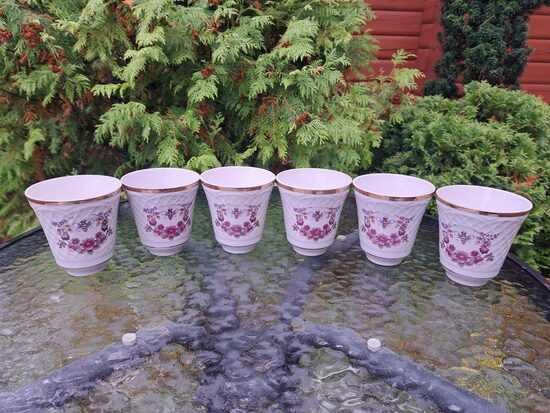 Skaists porcelāna glāžu komplekts 6 personām ar bitīti uz zeltu, Korosteņa, Ukraina (Korosten 03)