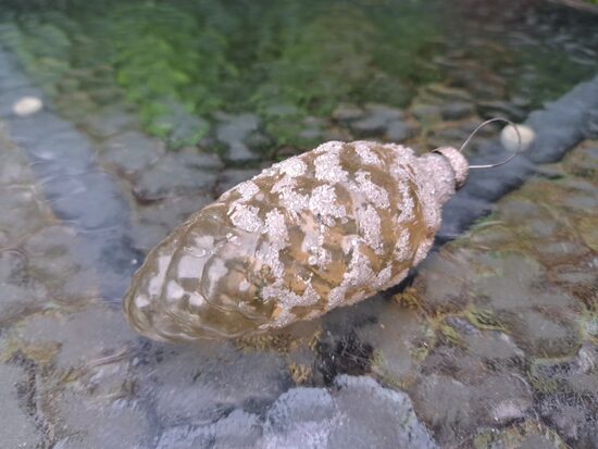 Čiekurs dzeltens caurspīdīgs, pārklāts ar "sniega" graudiņiem (Egle čiekuri 29)