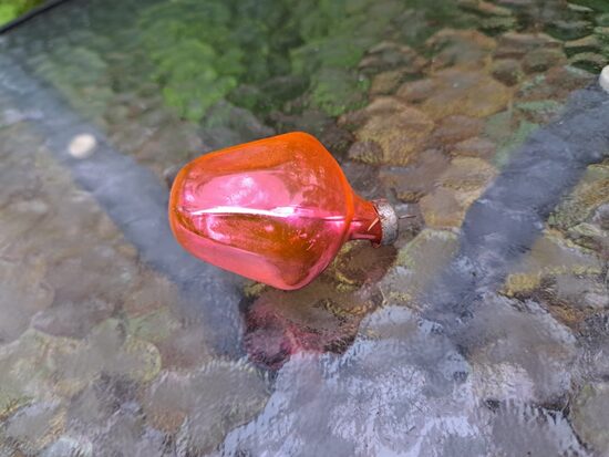 Auglis rozā, caurspidīgs uz pusi. Izmēri 5,5cmx3,5cm (Egle augļi 47)