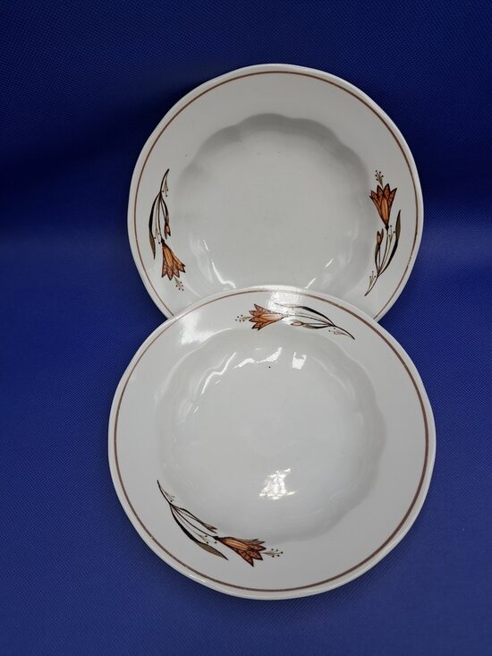 Zupas šķīvji pusporcija, d=20cm ar reti sastopamu dekolu: brūnām puķēm un brūnu apvilkumu, pusdienu servīze "Ārija", RPR (Ārija pusdienu 393)