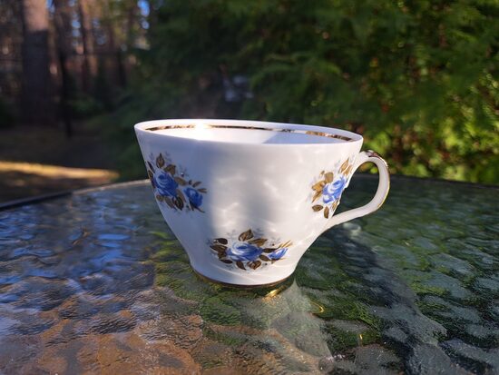 Krūzīte no ļoti retas servīzes "Sigulda" ar zilām rozēm, RPR (Sigulda 198)