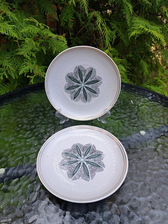 Kūku šķīvji, kafijas servīze "Saulīte" ar melnu un gaiši zaļu puķi centrā, PFF (Saulīte 46)