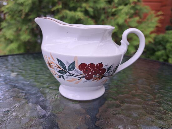 Krējuma kanniņa, skaista tējas servīze "Viktorija" ar ogām un brūnu apvilkumu, RPR (Viktorija t 209)