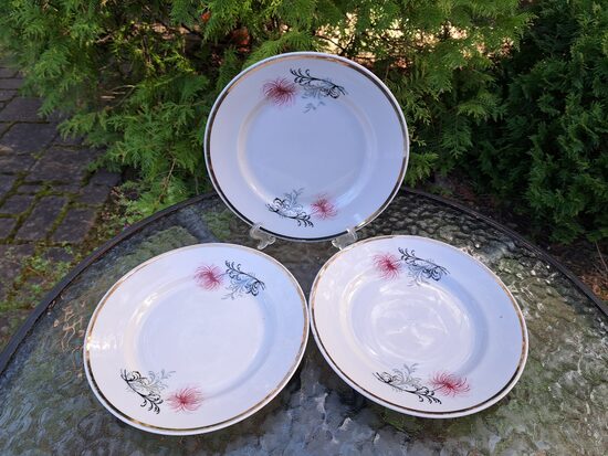 Šķīvji salātu, d=20cm ar koši rozā krizantēmu, platu zeltu un taisnu malu, neliels zelta nolietojums (Citi pusd 295)