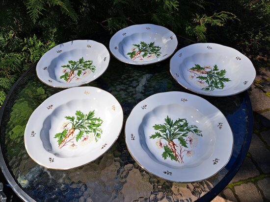 Zupas šķīvji (pusporcija), d=20cm ar pētersīļiem un zeltu, forma "Ārija", RPR (Ārija pusd 423)