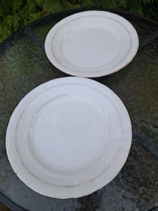 Otrā ēdiena fajansa Kuzņecova šķīvji ar zelta apvilkumu. D=24cm (Kuzņecovs 174)