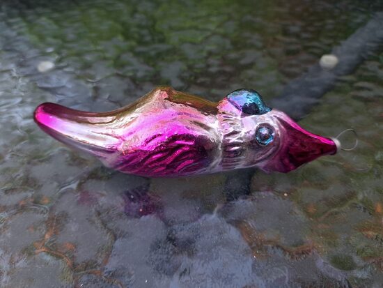 Papagailis rozā, defekts (Egle putni 01)