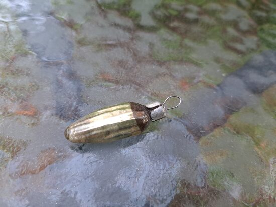 Kukurūza dzeltena  mini (Egle mini 42)