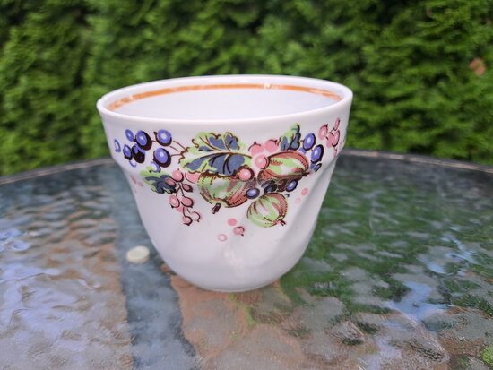 Krūze/bļodiņas no kompota servīzes ar erkšķogām un bēšu lustrētu apvilkumu, RPR (Kompota 27)