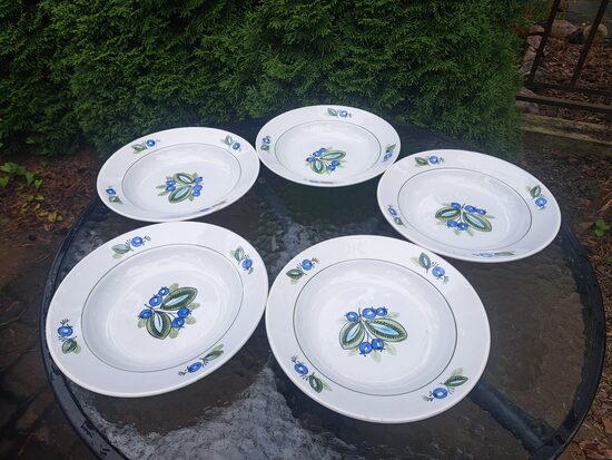 Zupas šķīvju (pusporcija) d=20cm ar košām mellenēm komplekts 5 peresonām, ZIK (ZIK 42)