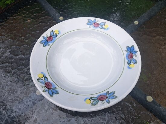 Zupas šķīvis (pusporcija) d=20cm, ar skaistiem krāsainiem pušķiem, ZIK (ZIK 41)