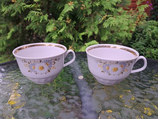 Krūzītes, tējas servīze "Māra" ar margrietiņām, RPR. Zeltam iekšā ir stiprs nolietojums (Māra tējas 239)